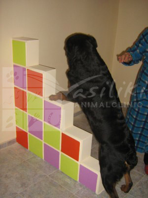 waiting area preparing10